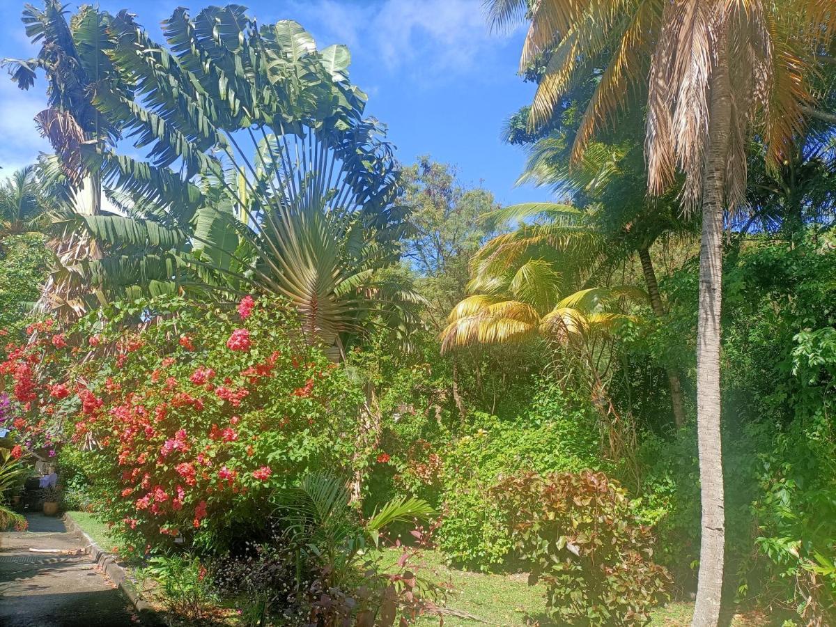 Le Colibri Ble Sainte-Anne Exterior foto