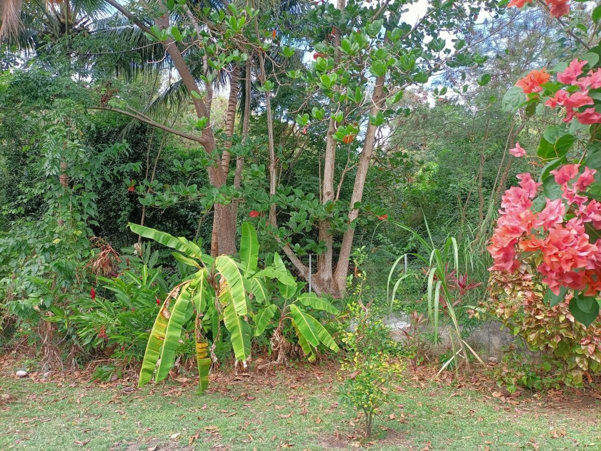 Le Colibri Ble Sainte-Anne Exterior foto